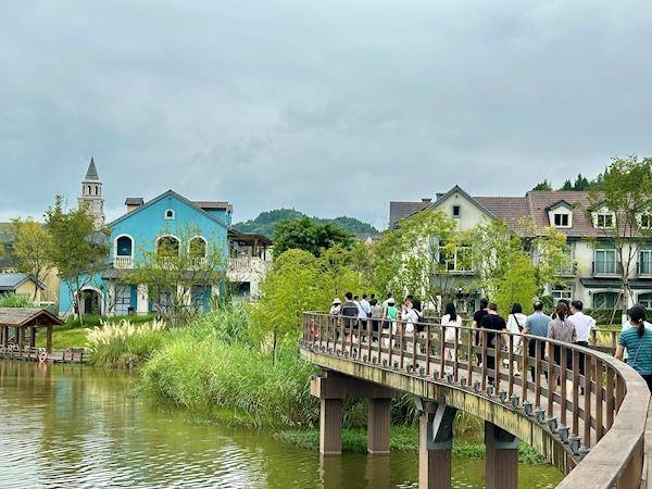 活力中国调研行丨稻田里长出新风景 四川乡村文旅活力迸发